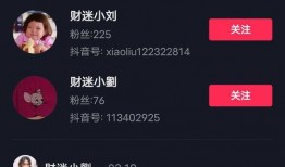 财迷小刘吃瓜视频大全免费观看,财迷小刘带你免费畅游吃瓜视频大全世界